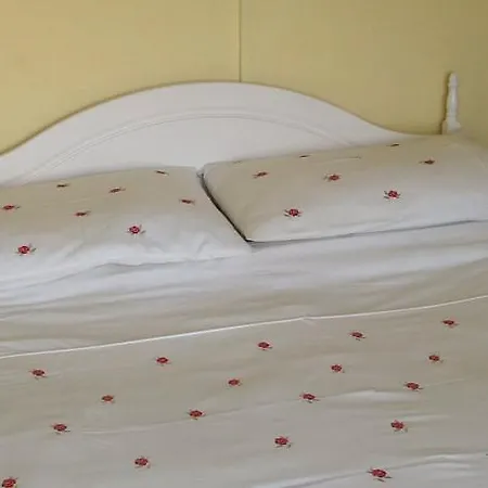 Bed and breakfast Shamrock House 3*