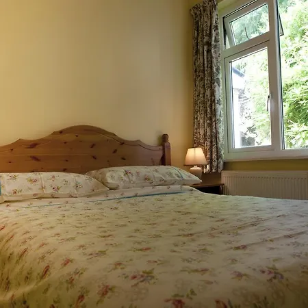 Shamrock House Killarney