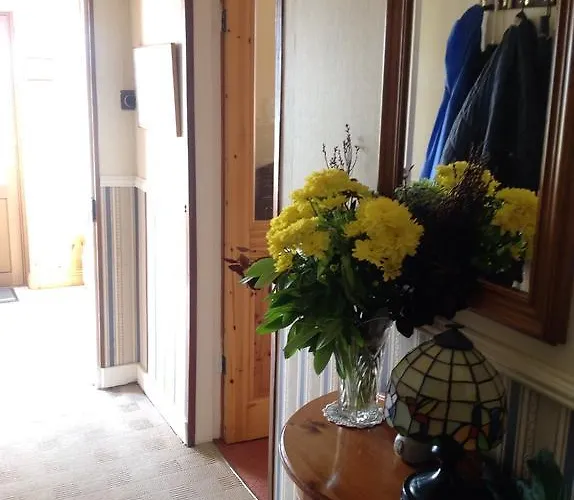 住宿加早餐酒店 Shamrock House 基拉尼