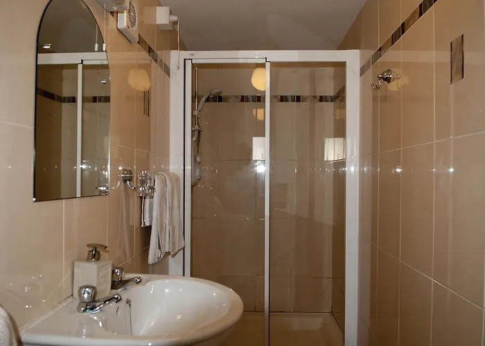 Bed & Breakfast Shamrock House Killarney