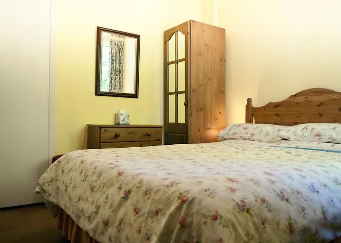 Shamrock House Killarney