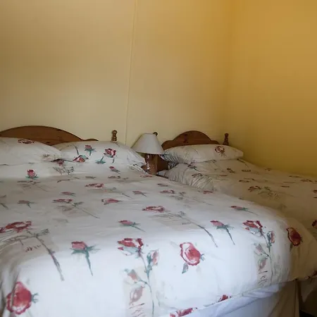 Bed & Breakfast Shamrock House Cill Airne