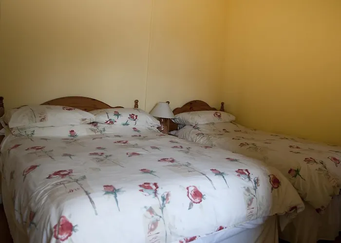 Frühstückspension Shamrock House Killarney